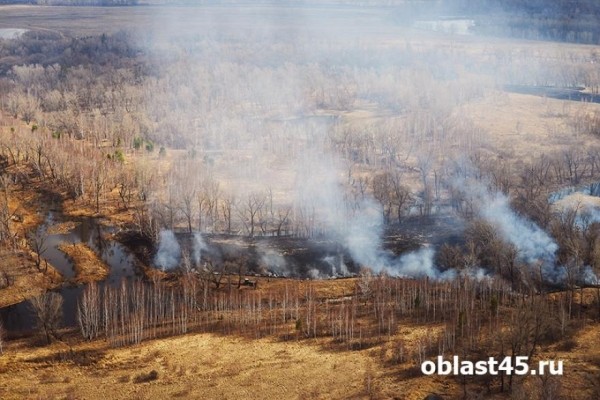 В Курганской области ликвидировали ландшафтный пожар В Курганской области ликвидировали ландшафтный пожар