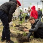 
											Молодежь Курганской области присоединилась  к международной акции "Сад памяти"									