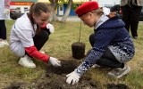 
											Молодежь Курганской области присоединилась  к международной акции "Сад памяти"									