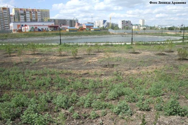Курганским общественникам рассказали о ремонтных работах в городе Курганским общественникам рассказали о ремонтных работах в городе