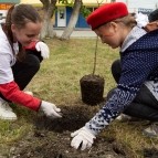 
											Молодежь Курганской области присоединилась  к международной акции "Сад памяти"									