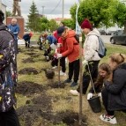 
											Молодежь Курганской области присоединилась  к международной акции "Сад памяти"									
