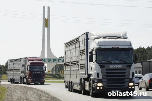 В аварии с большегрузом на трассе Курганской области погибли женщины В аварии с большегрузом на трассе Курганской области погибли женщины