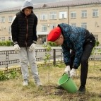 
											Молодежь Курганской области присоединилась  к международной акции "Сад памяти"									
