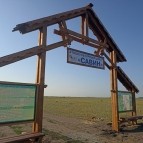
											В Курганской области пройдет масштабный областной фестиваль народного творчества &laquo;Едем на Савин&raquo;									