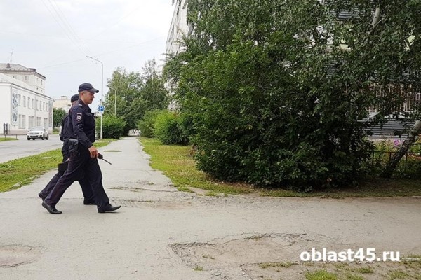 Житель Шумихи ограбил свою знакомую