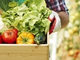 
											Для сельхозтоваропроизводителей Курганской области организовали обучение по запросам									