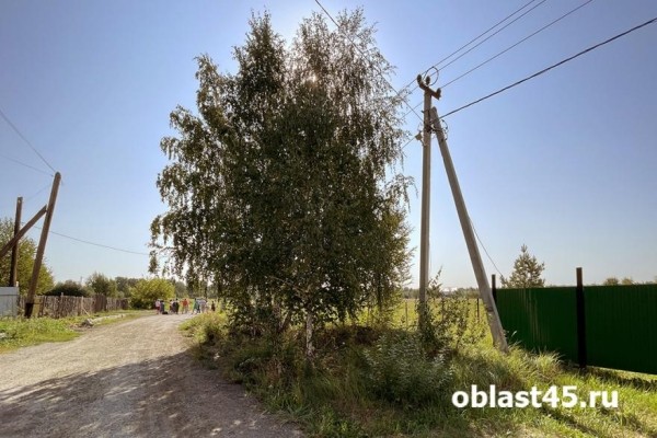 В Кургане обесточат дома в некоторых садоводствах, на бульваре и проспекте