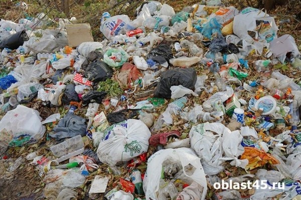 Администрацию зауральского города обязали устранить свалку у федеральной трассы
