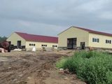 В Шадринском округе строится молочно-товарная ферма на 400 голов КРС
В Шадринском округе строится молочно-товарная ферма на 400 голов КРС