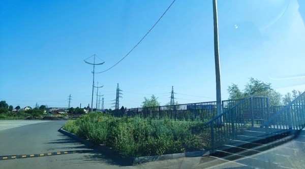 Курганские скверы зарастают травой 