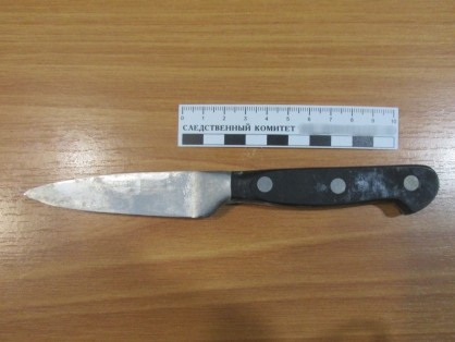 Житель Шадринска признан виновным в покушении на убийство местного жителя