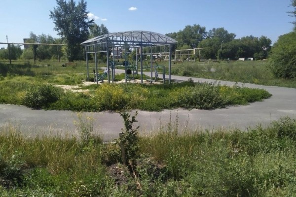 Курганские скверы зарастают травой 