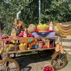  В День города Кургана на Троицкой площади празднуют Яблочный Спас 