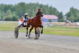 
											На  курганском ипподроме будет разыгран Кубок губернатора Курганской области 									