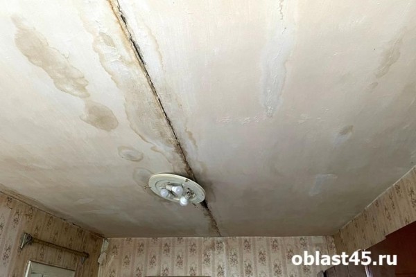 Некоторые курганцы мокнут под дождём, не выходя из дома Некоторые курганцы мокнут под дождём, не выходя из дома