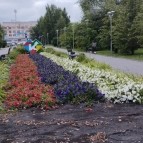 По поручению губернатора Ирина Саблукова проконтролировала ход благоустройства Шумихи
По поручению губернатора Ирина Саблукова проконтролировала ход благоустройства Шумихи