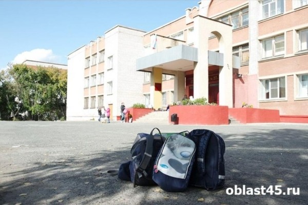 К новому учебному году готов 41% учебных заведений Курганской области К новому учебному году готов 41% учебных заведений Курганской области