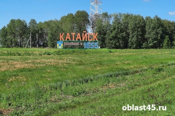 В поселке под Катайском ребенок совершил суицид