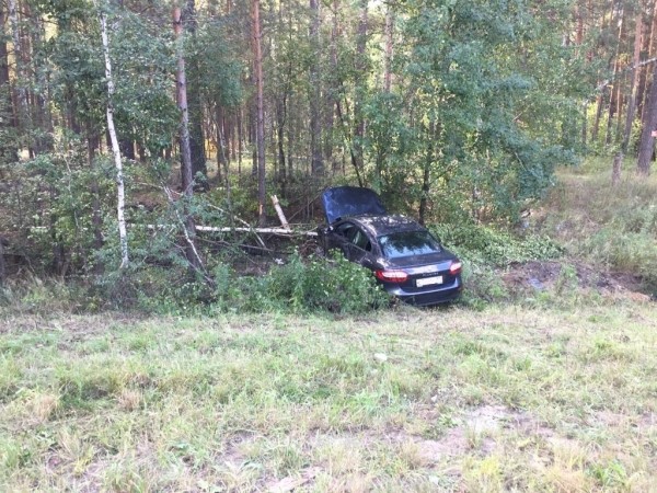В течение 3 дней на дорогах Кургана погибли мотоциклист и пешеход