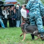 
											В Курганской области прошла акция в поддержку Дня солидарности в борьбе с терроризмом									