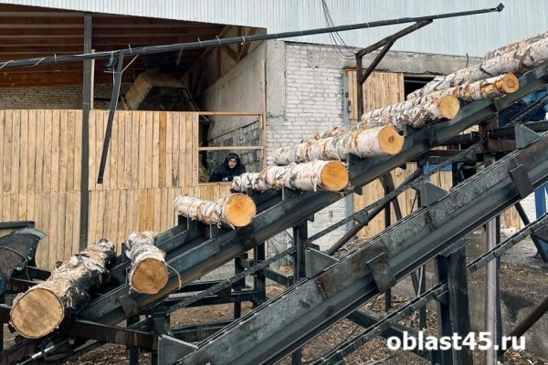 В Курганской области промышленное производство выросло на 12%