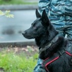 
											В Курганской области прошла акция в поддержку Дня солидарности в борьбе с терроризмом									