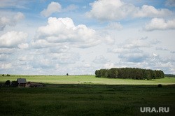 Сельхозпредприятие жены курганского депутата облдумы Кафеева в два раза увеличило прибыль Сельхозпредприятие жены курганского депутата облдумы Кафеева в два раза увеличило прибыль