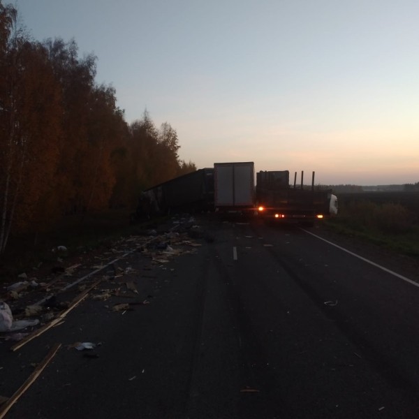 В Шадринском округе в ДТП с большегрузом погиб пожилой водитель