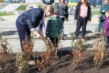 
											В Кургане рядом со строящейся школой на 1500 мест появилась &laquo;Аллея педагогов&raquo;									