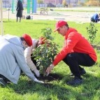 
											В Кургане рядом со строящейся школой на 1500 мест появилась &laquo;Аллея педагогов&raquo;									