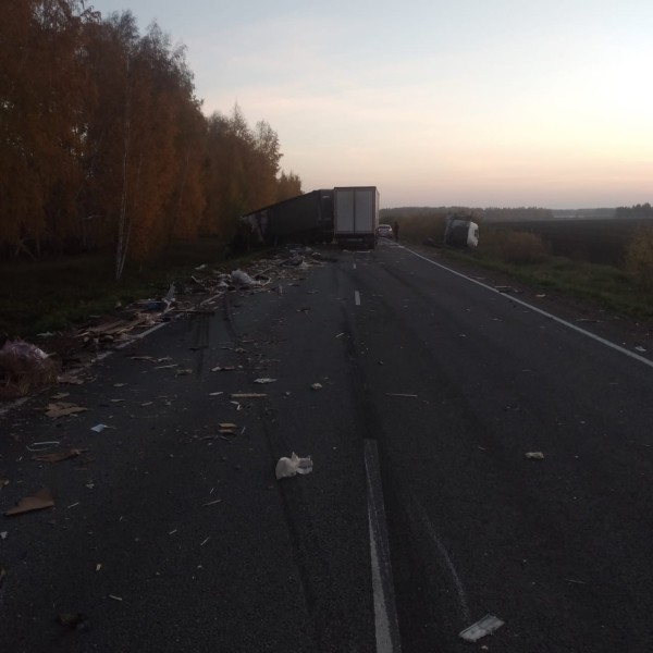 В Шадринском округе в ДТП с большегрузом погиб пожилой водитель