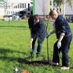 
											В Кургане рядом со строящейся школой на 1500 мест появилась &laquo;Аллея педагогов&raquo;									