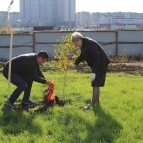 
											В Кургане рядом со строящейся школой на 1500 мест появилась &laquo;Аллея педагогов&raquo;									