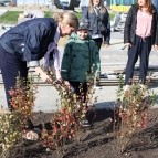 
											В Кургане рядом со строящейся школой на 1500 мест появилась &laquo;Аллея педагогов&raquo;									