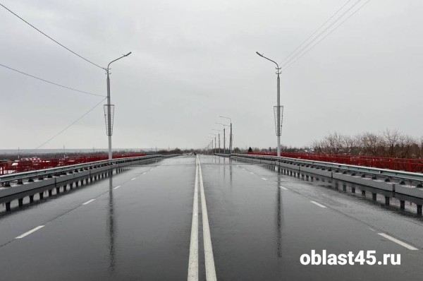 В Кургане открыли Бурово-Петровский мост