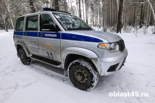 В Курганской области шадринец избил водителя и угнал его машину