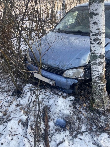 На дорогах Курганской области двух женщин за рулём постигла неудача 