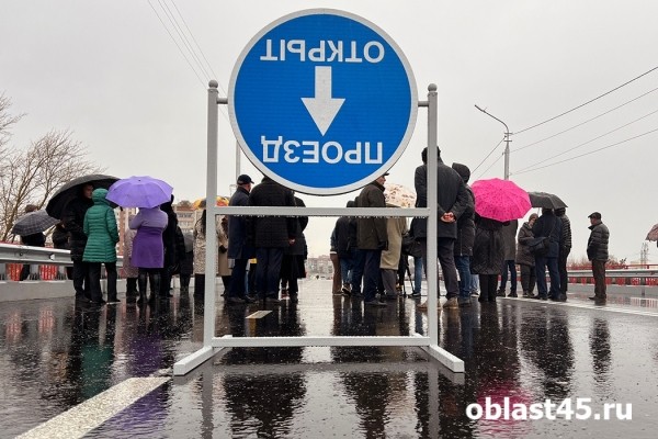 Опережая сроки: власти Кургана оценили ремонт Бурово-Петровского моста