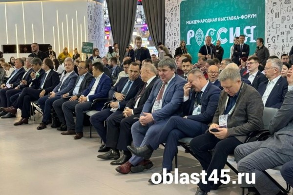 Шумков в Москве анонсировал строительство в Кургане нового моста за 6 миллиардов