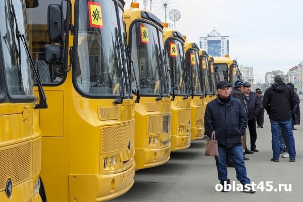 Плюс 49: в Курганской области увеличили численность автопарка спецтранспорта