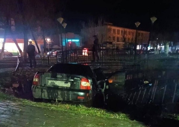 В Курганской области машина въехала в пруд городского парка. Фото