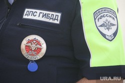 В Курганской области машина въехала в пруд городского парка. Фото