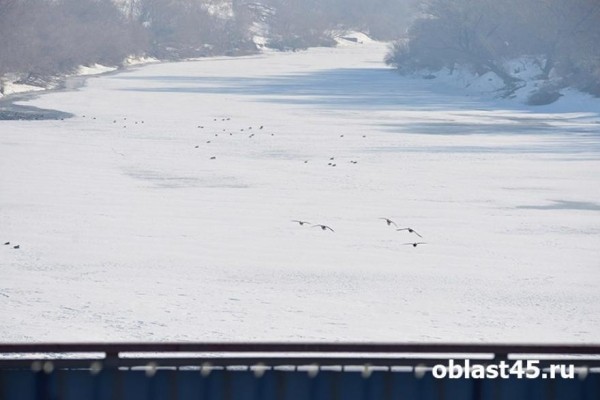В Кургане сточные воды в Тобол сбрасывают несанкционированно В Кургане сточные воды в Тобол сбрасывают несанкционированно