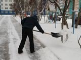 
											По поручению губернатора Вадима Шумкова санитарный патруль проконтролировал, как чистятся городские дворы после снегопада									