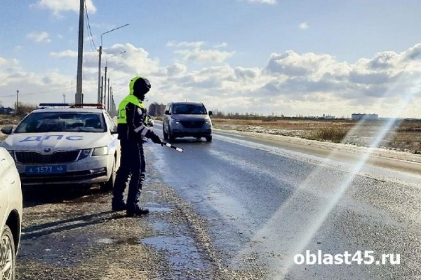 В Кургане в Заозёрном сбили девочку