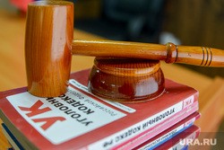 Курганец, укравший четырех овец, будет исправляться в колонии
