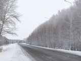 
											Жителям Курганской области напоминают о необходимости соблюдения скоростного режима и осторожности на автодорогах в связи с миграцией косуль									