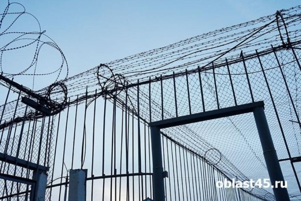 В России доставка телефонов в колонии стала уголовным преступлением 