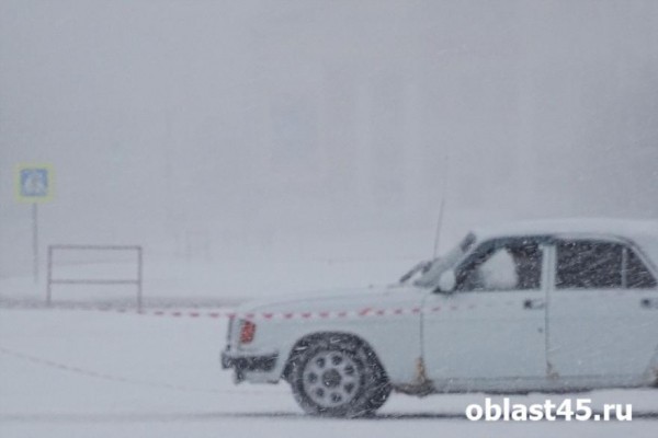 В Кургане запретят остановку транспорта на шоссе Тюнина из-за трековых гонок В Кургане запретят остановку транспорта на шоссе Тюнина из-за трековых гонок